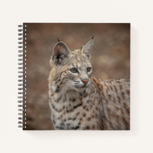 Portrait of a Bobcat Notebook