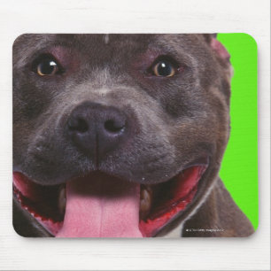 portrait of a bulldog mouse pad