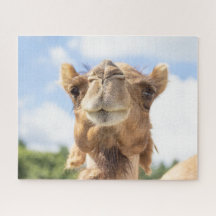 Portrait of a Camel