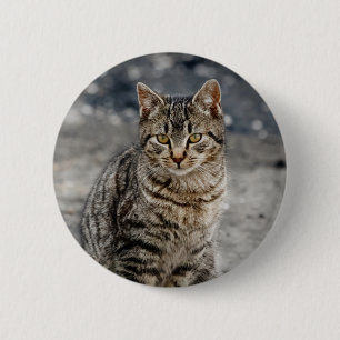 Portrait of a cat 6 cm round badge
