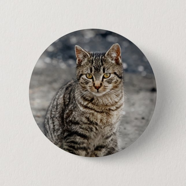 Portrait of a cat 6 cm round badge (Front)