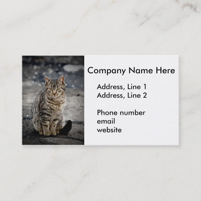 Portrait of a cat business card (Front)