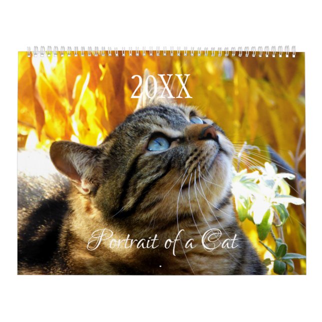 Portrait of a Cat Calendar - HAMbyWG (Cover)