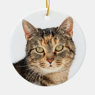 Portrait of a cat ceramic ornament