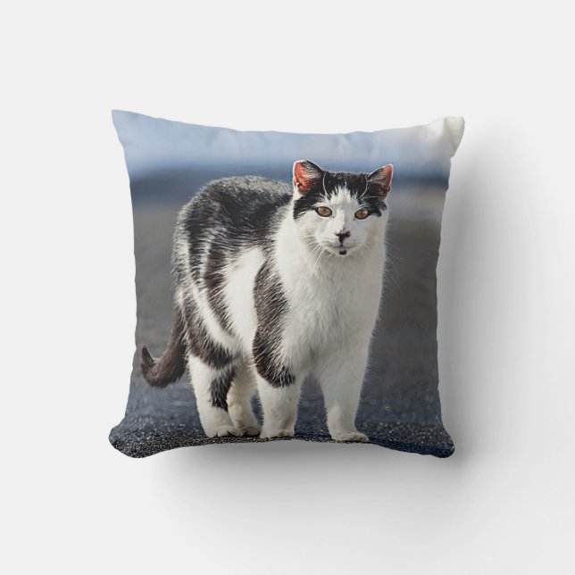 Portrait of a cat cushion (Front)