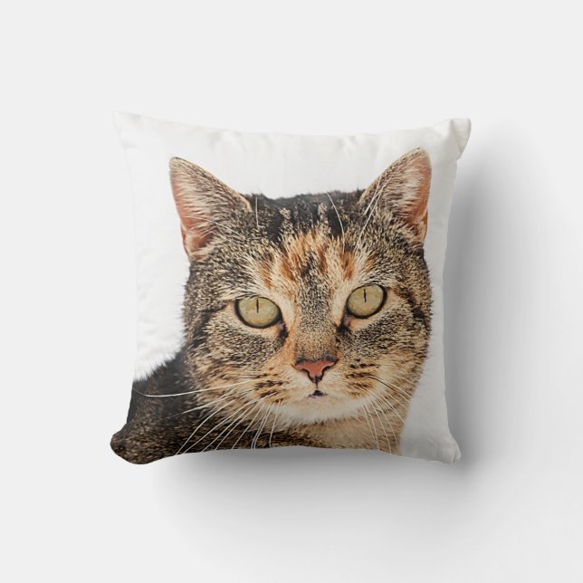 Portrait of a cat cushion (Front)