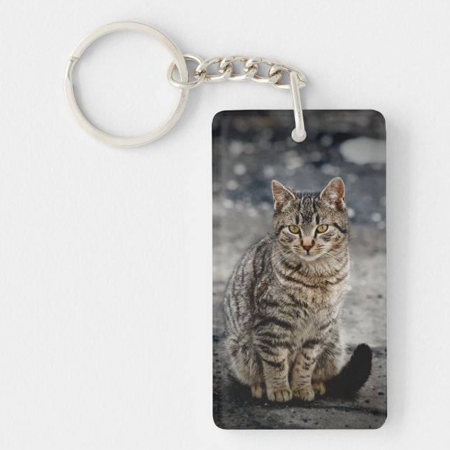 Portrait of a cat key ring (Front)