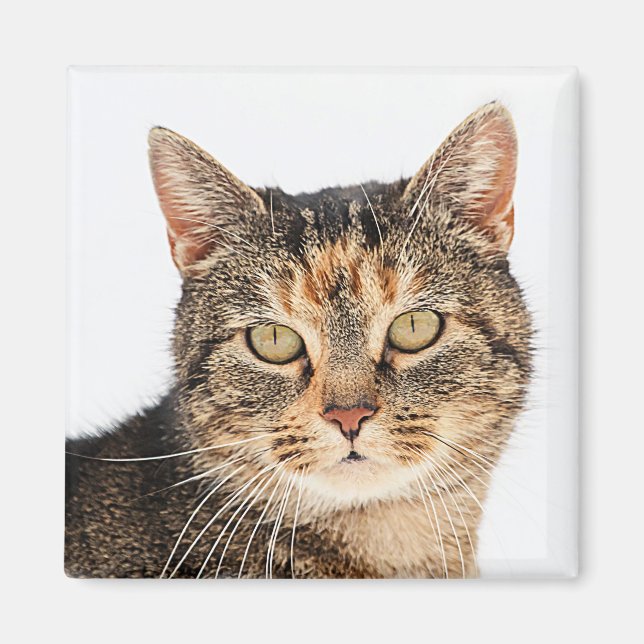 Portrait of a cat magnet (Front)