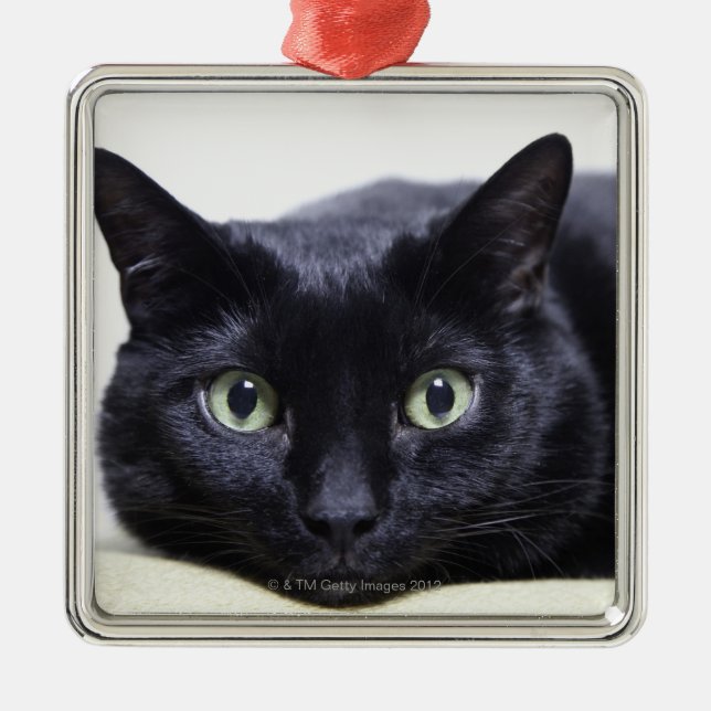 Portrait of a Cat Metal Tree Decoration (Front)