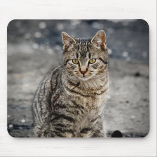 Portrait of a cat mouse pad
