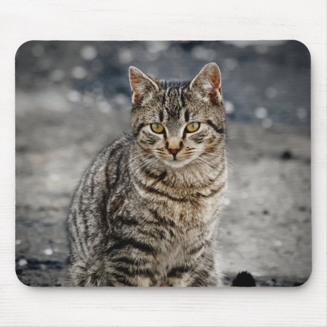 Portrait of a cat mouse pad (Front)