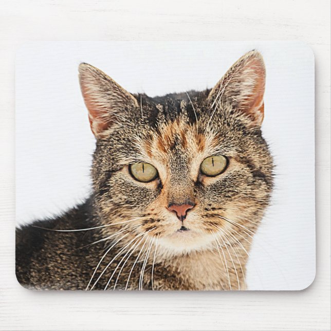 Portrait of a cat mouse pad (Front)