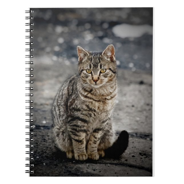 Portrait of a cat notebook (Front)