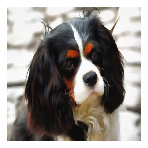 Portrait Of A Cavalier King Charles Spaniel Photo Print