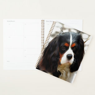 Portrait Of A Cavalier King Charles Spaniel Planner