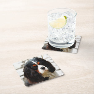 Portrait Of A Cavalier King Charles Spaniel Square Paper Coaster