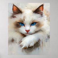 Portrait of a charming Ragdoll Cat with blue eyes
