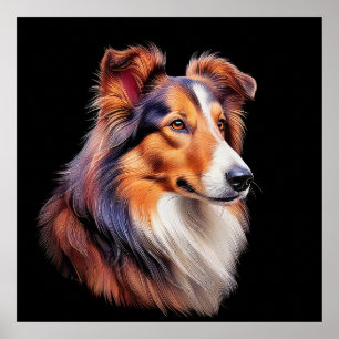 Portrait of a Collie Poster