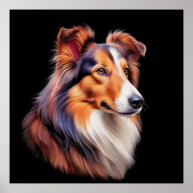 Portrait of a Collie Poster (Front)