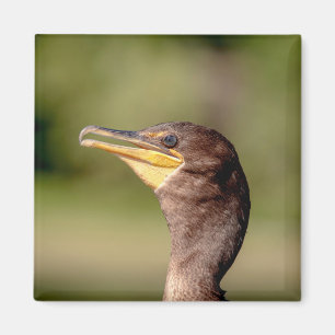 Portrait of a Cormorant Magnet
