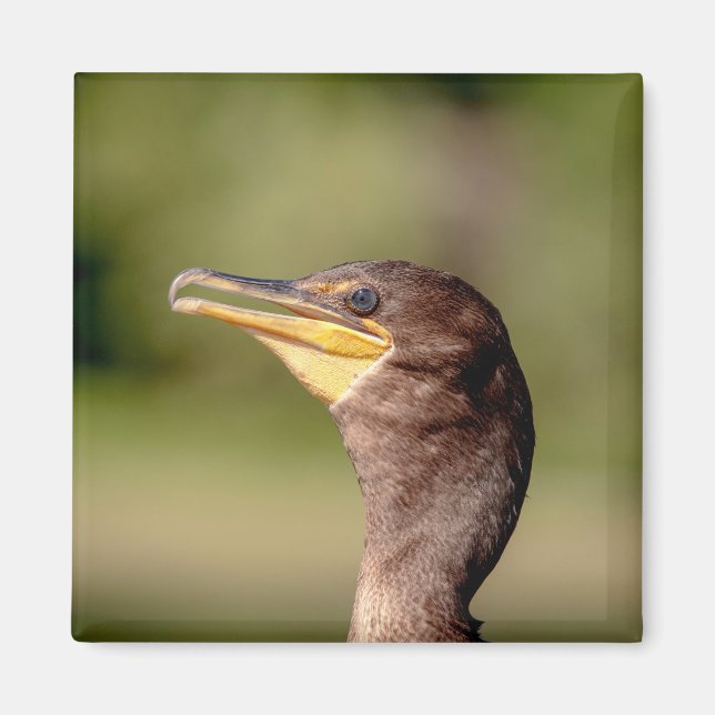 Portrait of a Cormorant Magnet (Front)