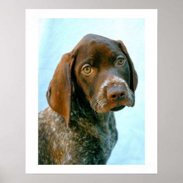 Portrait of a dog poster (Front)