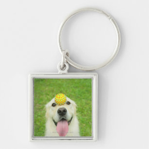 Portrait of a dog with a ball on its nose key ring