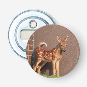 Portrait of a Fawn (white-tailed deer) Bottle Opener