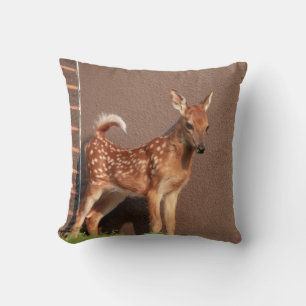 Portrait of a Fawn (white-tailed deer) Cushion