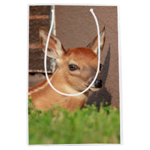 Portrait of a Fawn (white-tailed deer) Medium Gift Bag