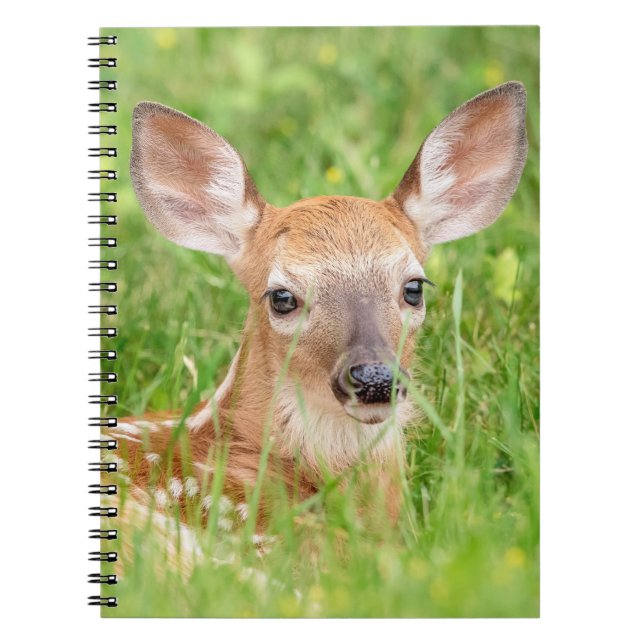 Portrait of a Fawn (white-tailed deer) Notebook (Front)