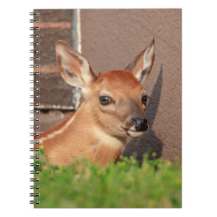 Portrait of a Fawn (white-tailed deer) Notebook