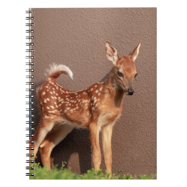 Portrait of a Fawn (white-tailed deer) Notebook (Front)