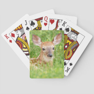 Portrait of a Fawn (white-tailed deer) Playing Cards