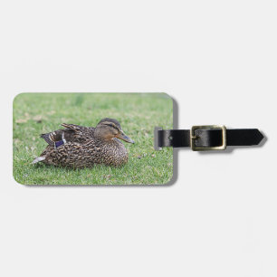 Portrait of a female mallard luggage tag