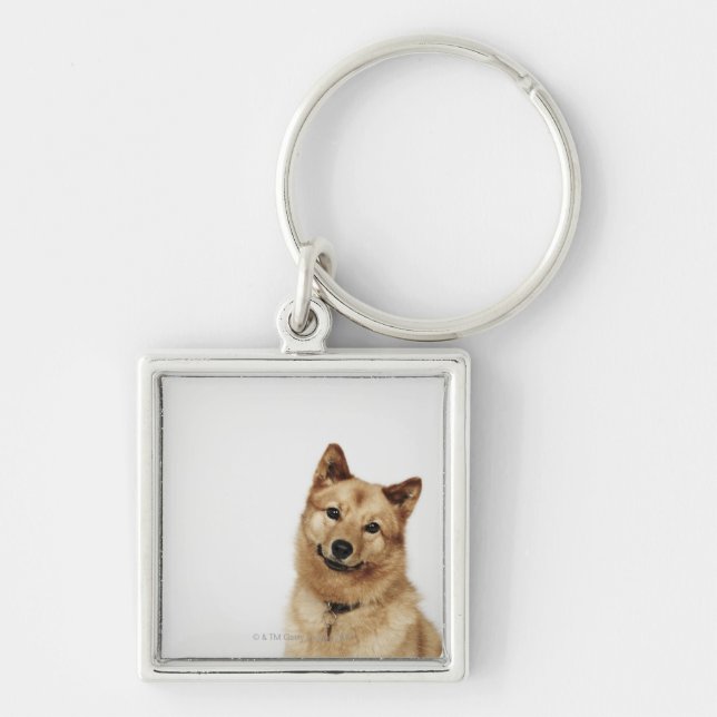 Portrait of a Finnish Spitz dog smiling Key Ring (Front)