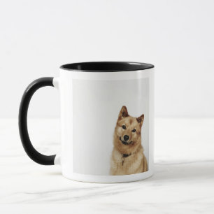 Portrait of a Finnish Spitz dog smiling Mug