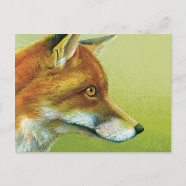 Portrait of a fox fine art postcard (Front)