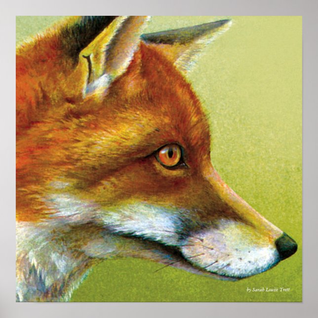 Portrait of a fox fine art poster print (Front)