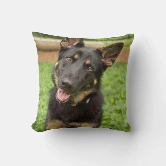 Portrait of a German Shepherd Cushion (Front)