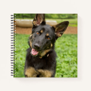 Portrait of a German Shepherd Notebook
