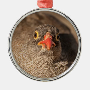 Portrait of a Grouse Metal Ornament