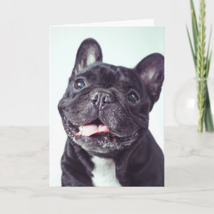 Portrait of a Happy French Bulldog Card