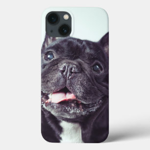 Portrait of a Happy French Bulldog iPhone 13 Case