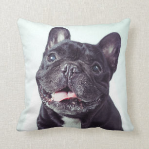 Portrait of a Happy French Bulldog Cushion