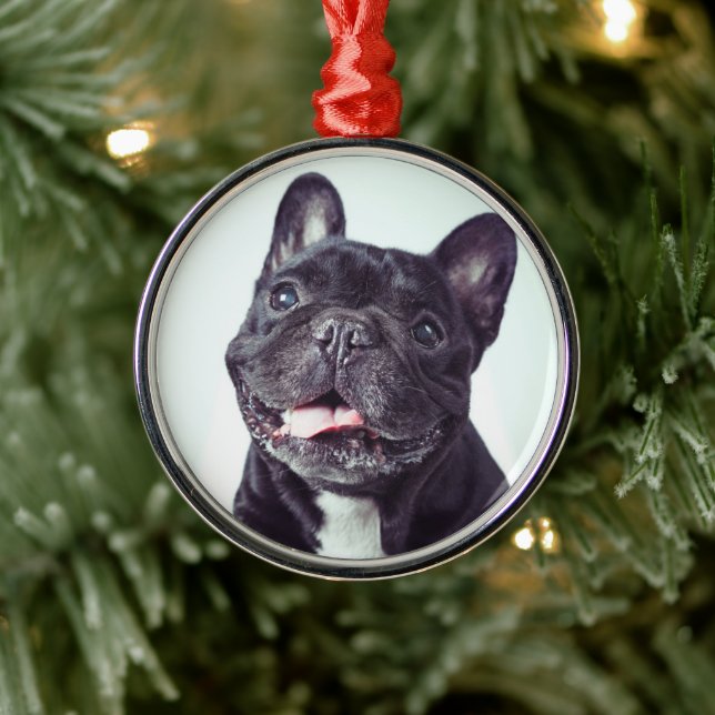 Portrait of a Happy French Bulldog Metal Ornament (Tree)