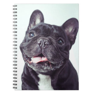 Portrait of a Happy French Bulldog Notebook