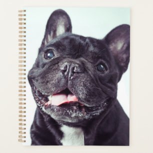 Portrait of a Happy French Bulldog Planner