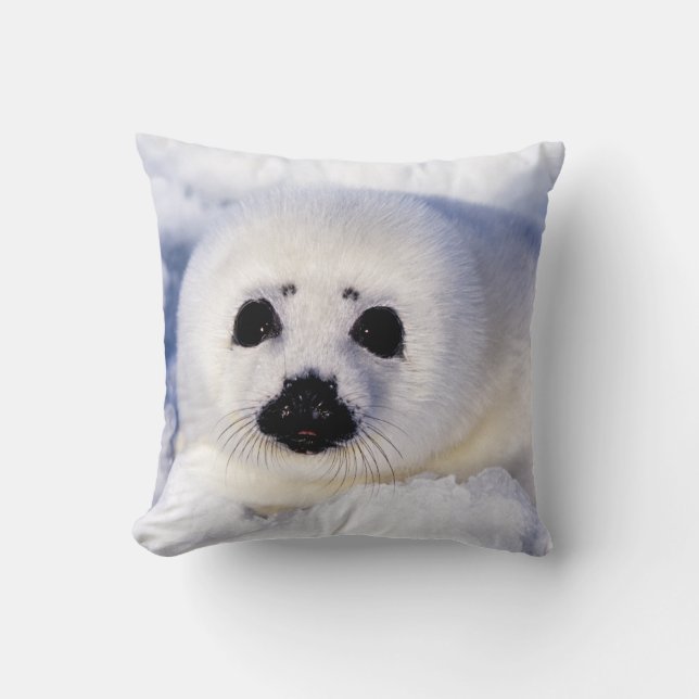 Portrait of a Harp Seal Pup Cushion (Front)