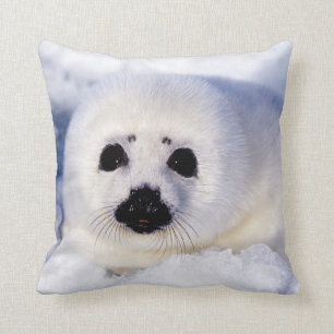 Portrait of a Harp Seal Pup Cushion